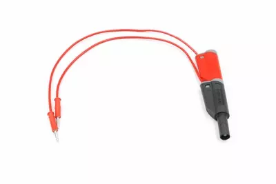 WIPT-Lead